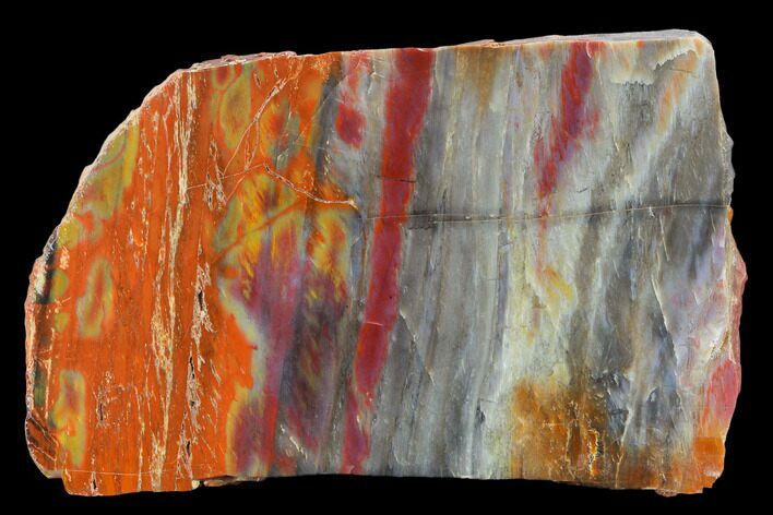 Colorful Petrified Wood (Araucarioxylon) Section - Arizona #133236